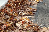 Leaf it to them: Sandpoint leaf pickup begins Nov. 17