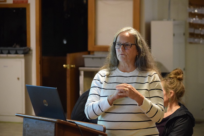 Soap Lake Creative District Representative Ruthanne Tobiason asked the Soap Lake City Council to consider applying for an ARTSWA grant and help with matching funds for new wayfinding signage around the district.