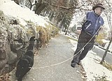 HUCKLEBERRIES: A new leash on life