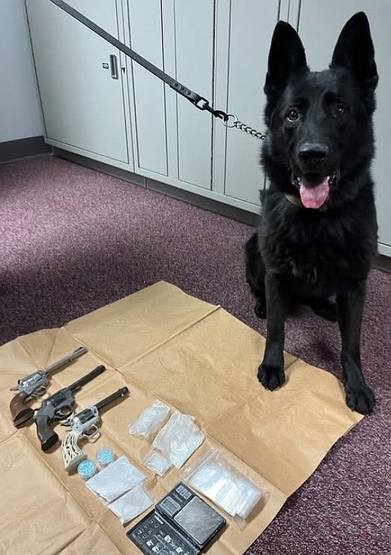 Bingo for K-9s will support the Columbia Basin K-9 program Nov. 22.