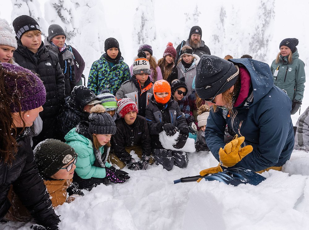 avalanche.jpg.1000x745_q85_box-0%2C0%2C2