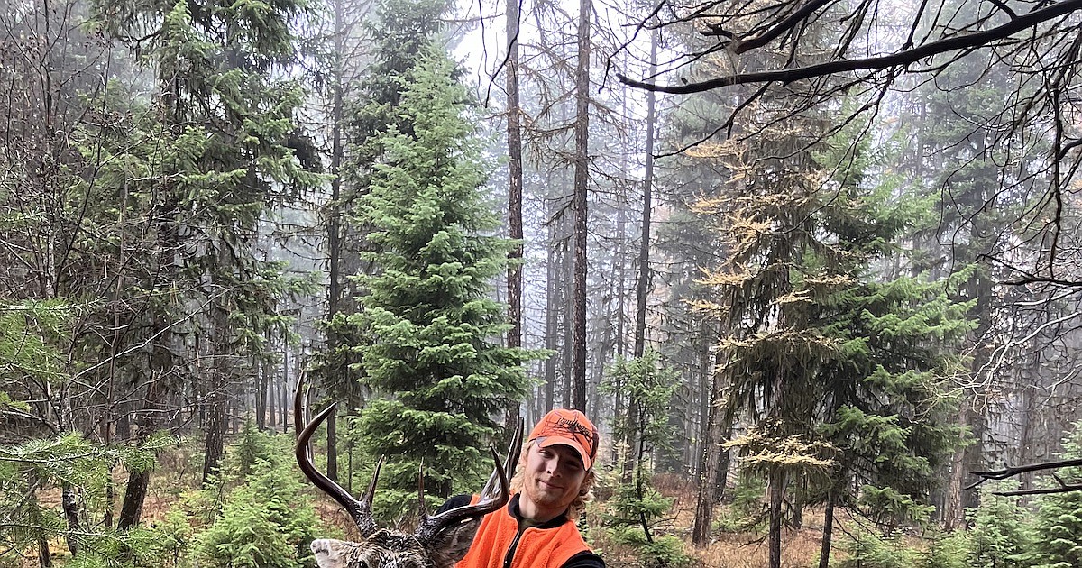 Hunter harvest average across Northwest Montana