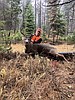 Hunter harvest average across Northwest Montana