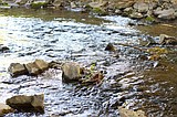 EPA proposes narrowed rules for Clean Water Act jurisdiction