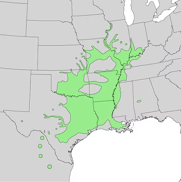 Pecans are native to the southern United States.