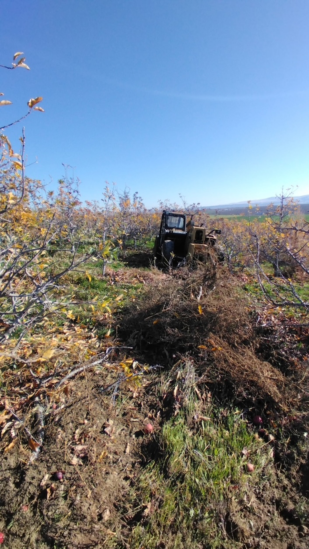 On Wednesday afternoon, one subject was air flighted to the Tri-Cities Hospital; after the telehandler he was driving lost control and crashed into an apple orchard.