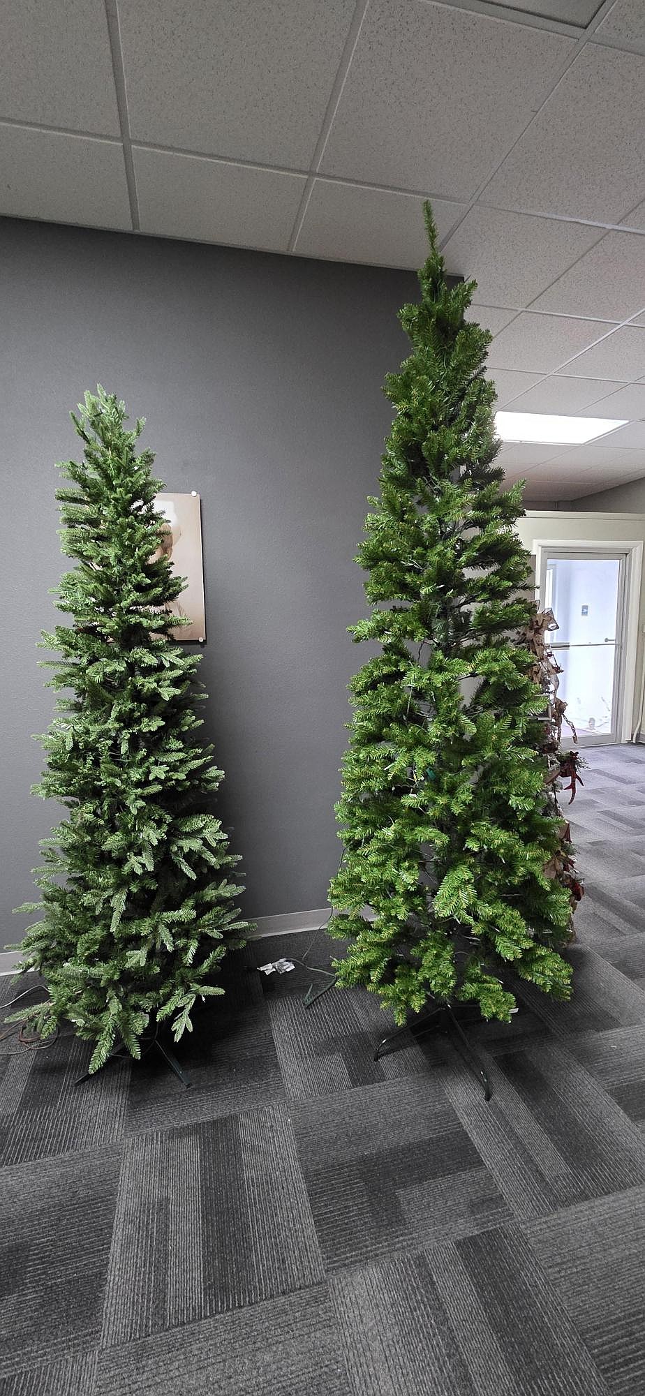 Trees stand ready to be decorated at the Columbia Basin Foundation office.