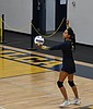 Lions volleyball reflects on successful season