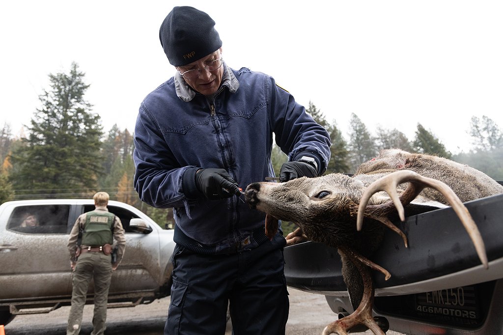 IMG_0423.jpg.1024x682_q85_box-0%2C0%2C20