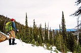 Hemler Creek a nice Swan Range diversion