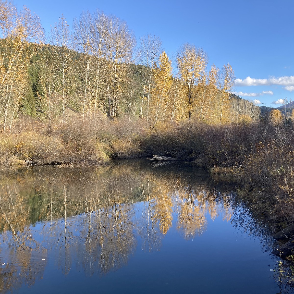 OUR GEM: The hidden battle beneath Lake Coeur d’Alene | Coeur d'Alene Press