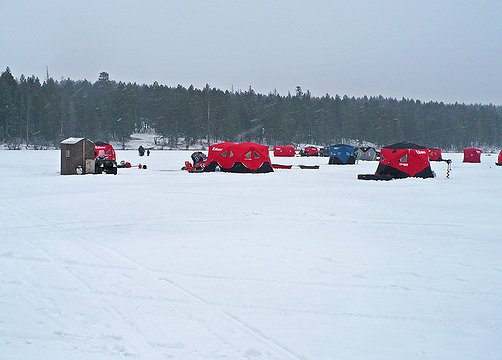 fish_2.jpg.502x360_q85_box-0%2C0%2C1005%