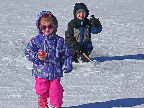 fish_6.jpg.480x360_q85_box-0%2C0%2C960%2