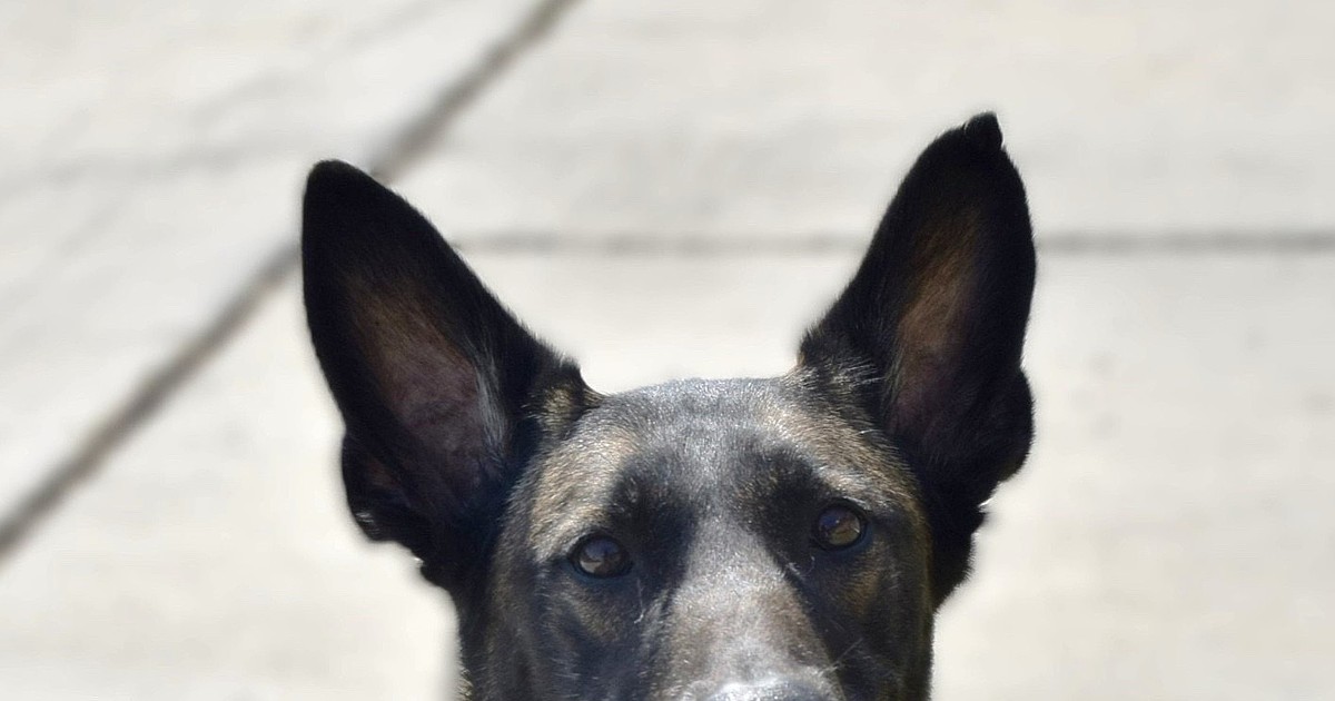 Quincy Police Department Logs as of Dec. 2, 2025