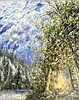 Meet artist Nicholas Oberling at Phillips Gallery