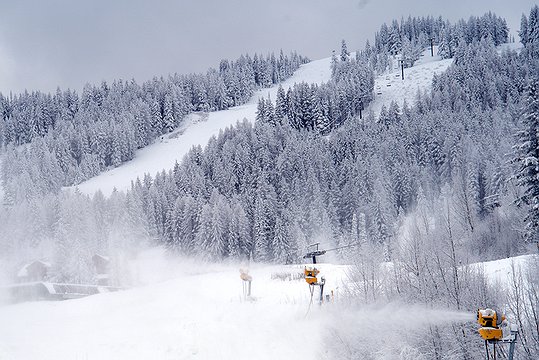 wmr_1.jpg.539x360_q85_box-0%2C0%2C1078%2