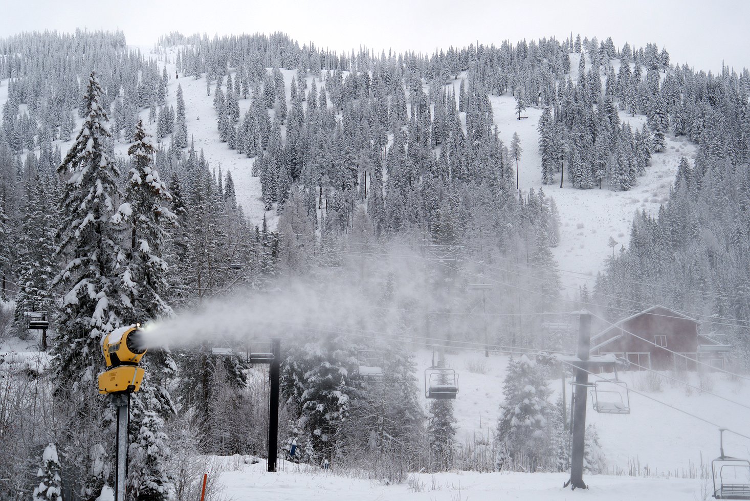 wmr_3.jpg.1466x979_q85_box-0%2C0%2C2933%