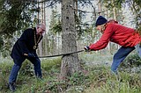 Norway donates a Christmas tree to London every year. Here's how the tradition began