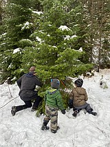 Christmas tree hunts a Montana tradition