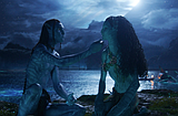 Awards movies to watch this holiday season