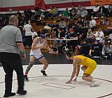 Cougars compete in big meets to start season