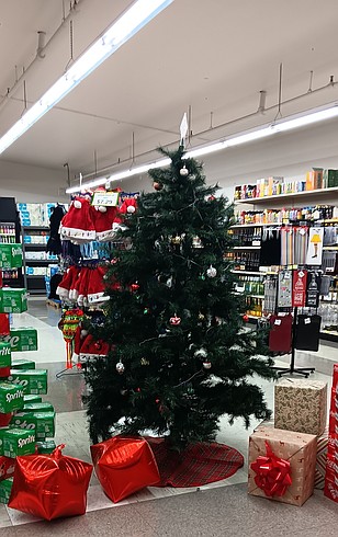 Rock Bottom Rocker Pet Pantry launches Angel Tree program for rescue pets