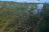 Lawsuit challenges the approval of an exploratory drilling program in Alaska petroleum reserve