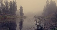 OUR GEM: Taking public comments on wetland protection rule changes