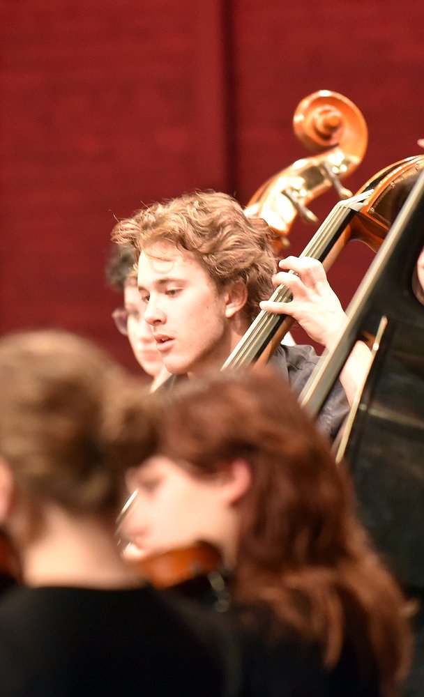 WHS_Orchestra_1.jpg.608x1000_q85_box-0%2