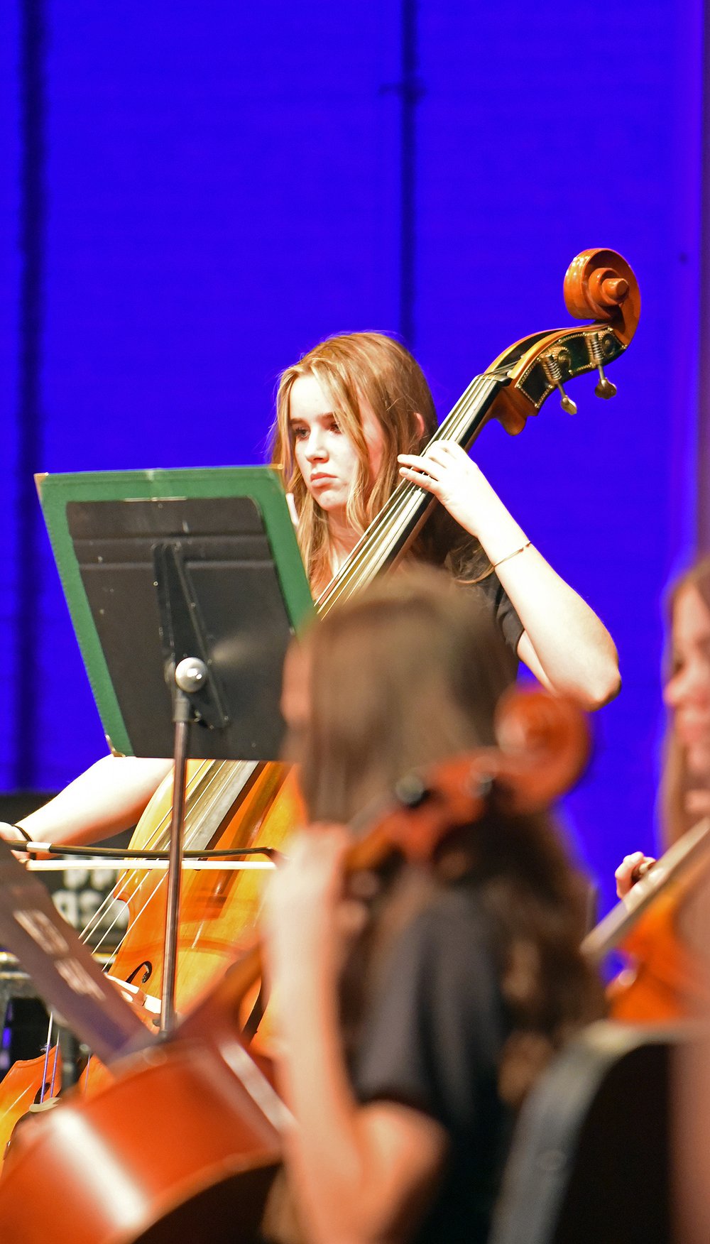 WHS_Orchestra_4.jpg.1000x1752_q85_box-0%