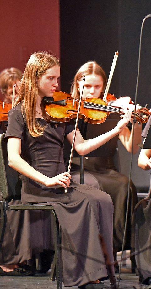 WHS_Orchestra_5.jpg.481x922_q85_box-0%2C