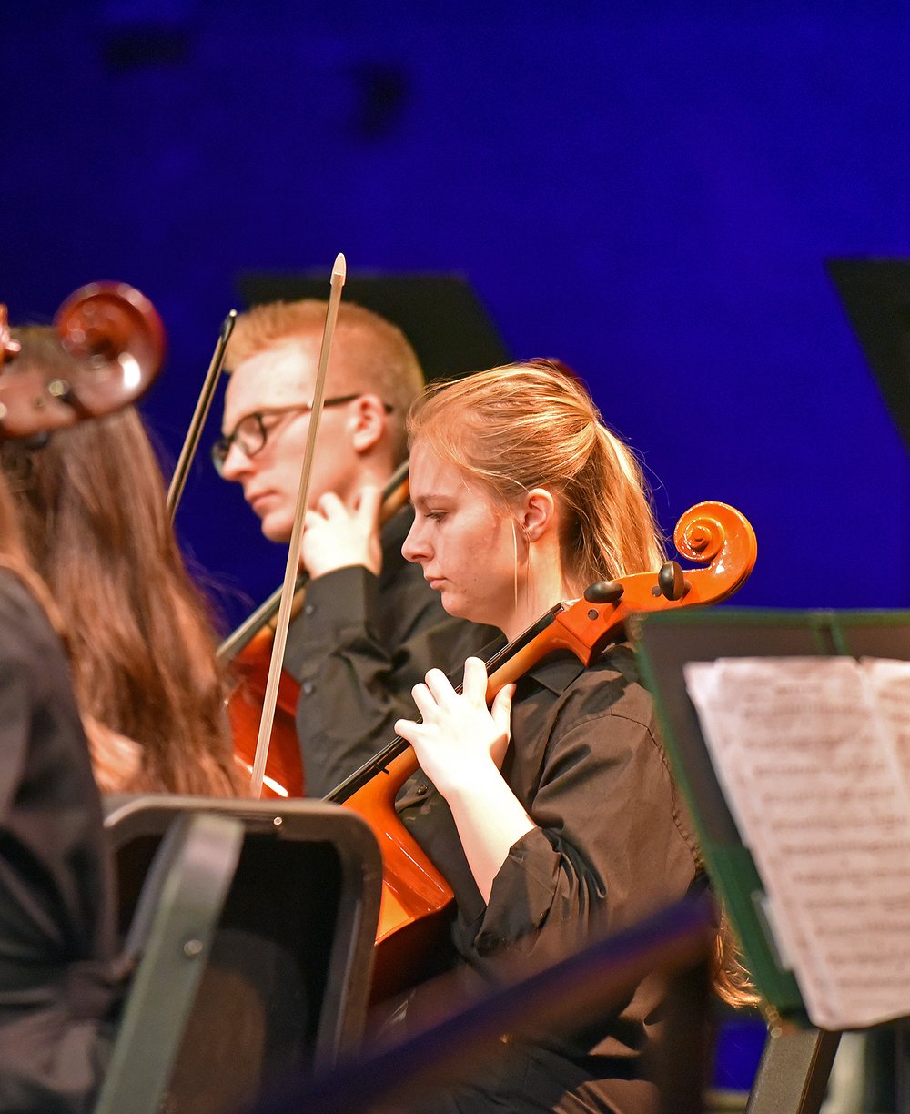 WHS_Orchestra_8.jpg.1000x1224_q85_box-0%