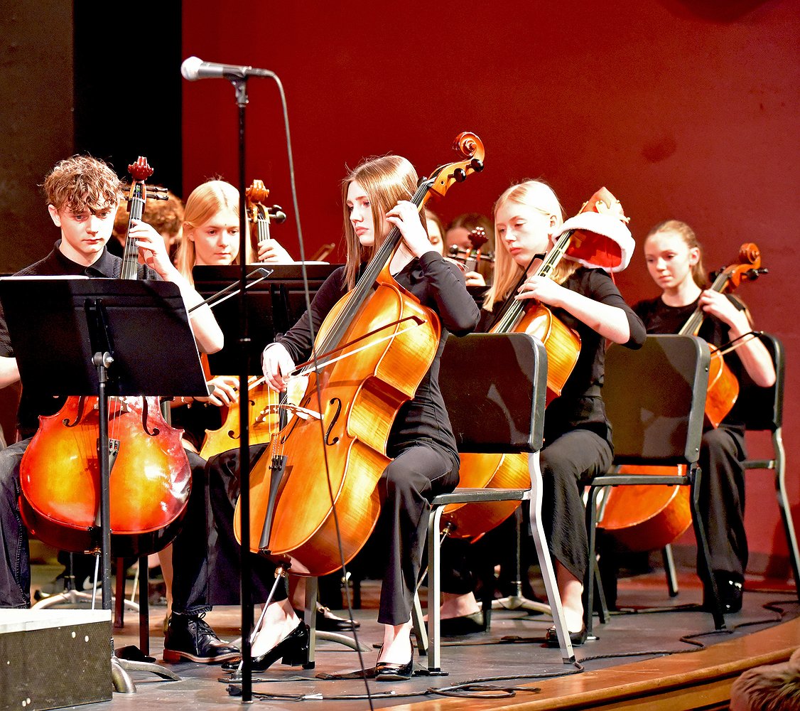 WMS_Orchestra_3.jpg.1126x1000_q85_box-0%