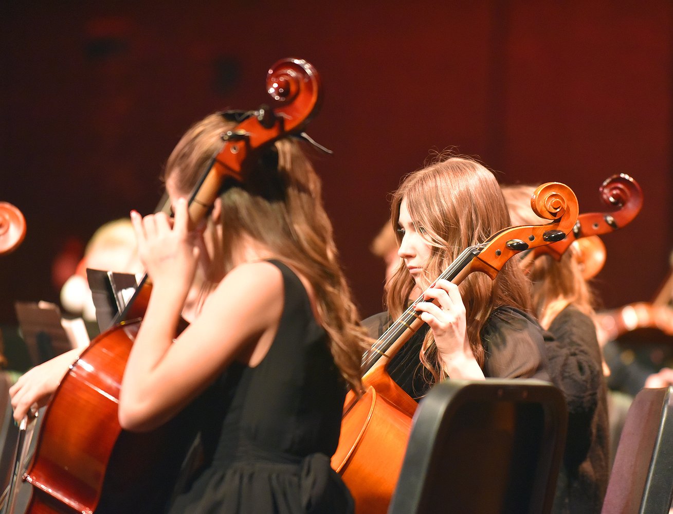 WMS_Orchestra_6.jpg.1309x1000_q85_box-0%