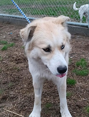 Illusion(s) of grandeur