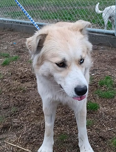 Illusion(s) of grandeur