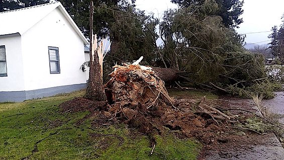 1219_loc_twn_Libby_West_Lincoln_Blcd_dow