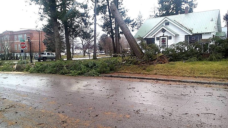 1219_loc_twn_Mineral_Avenue_down_tree_2w