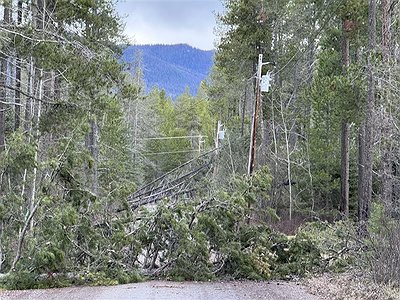 Image-22.jpg.400x300_q85_box-0%2C0%2C800