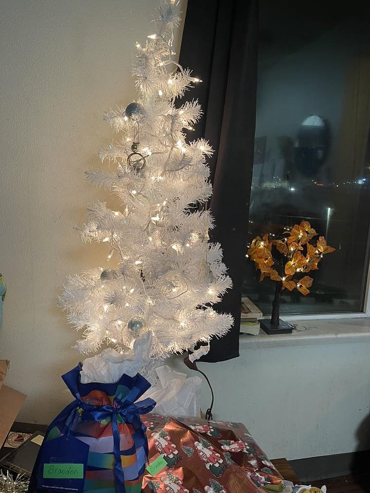 Renita Rutcosky-Deane said the family went with a three-foot white Christmas tree because it reminds her of snow.