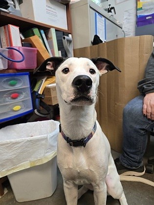 Camo forgot to blend in