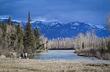 Most of Montana misses out on white Christmas