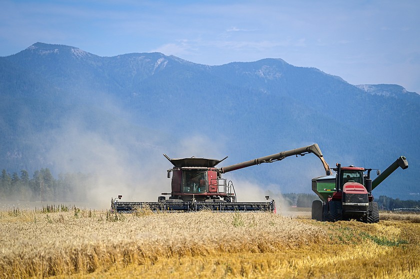 Farmers harvest wheat in farmland along Columbia Falls Stage. (Casey Kreider/Daily Inter Lake FILE)