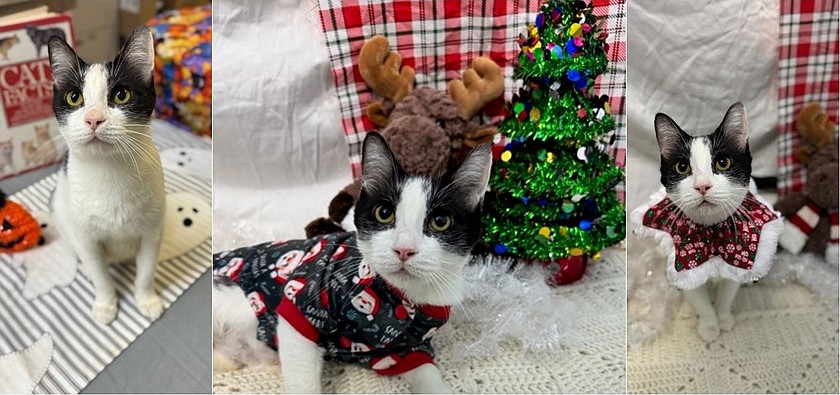 Start the new year in an out-of-this-world Way