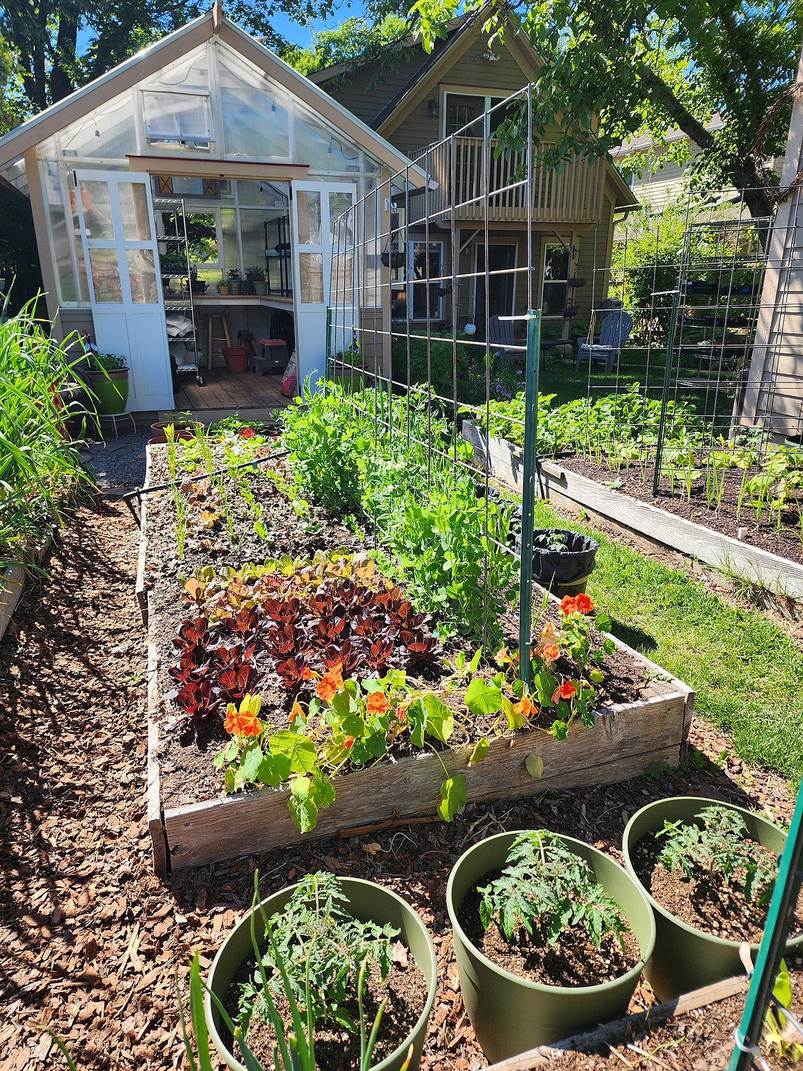 Glossy photos in seed catalogs sell possibility. Our gardens grow in reality—and that’s where experience matters.