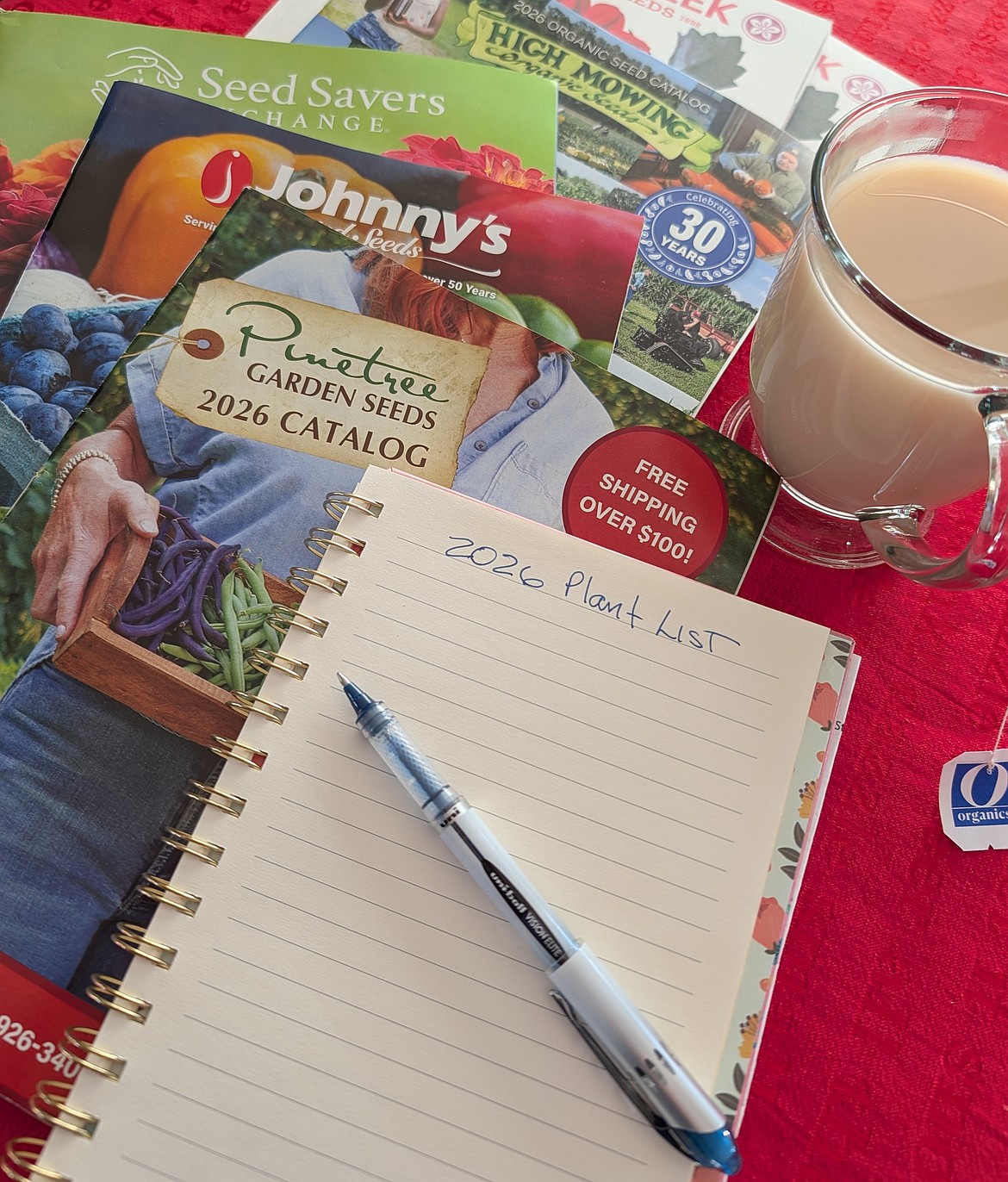 Browsing seed catalogs is a winter ritual for gardeners—snow outside, a warm drink nearby, and a table full of garden dreams.