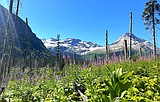 Glacier tops 3 million visitors