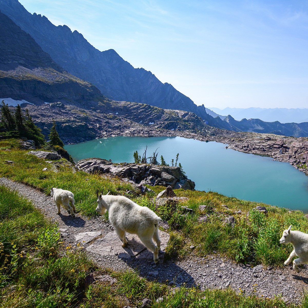 Montana delegation champions ‘America the Beautiful Act’ to fund public lands maintenance