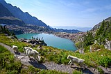 Montana delegation champions ‘America the Beautiful Act’ to fund public lands maintenance