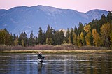 Investigation reels in no evidence of invasive trout in Flathead River